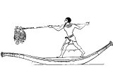 Egyptian spearing fish